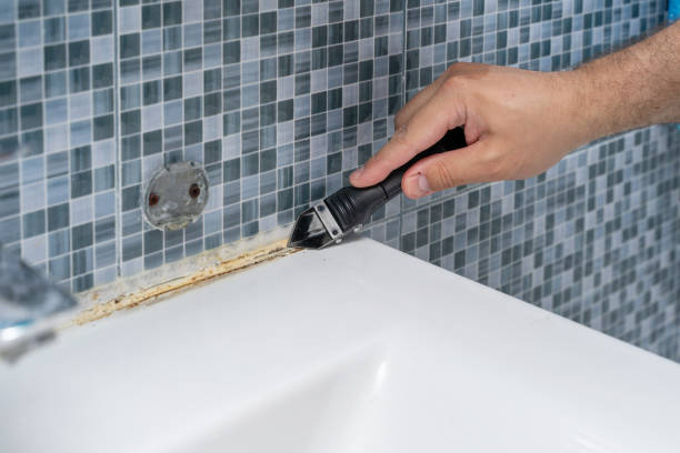 Best Emergency Mold Remediation in Ovid, MI
